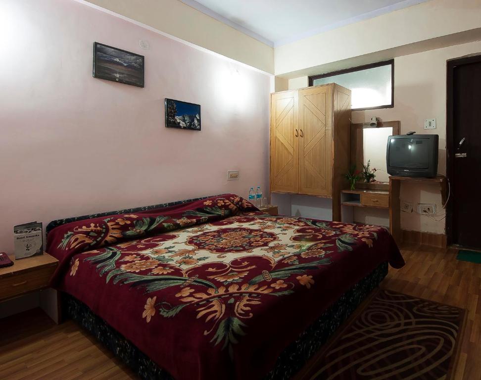 Hotel Anamika 나이니탈 객실 사진